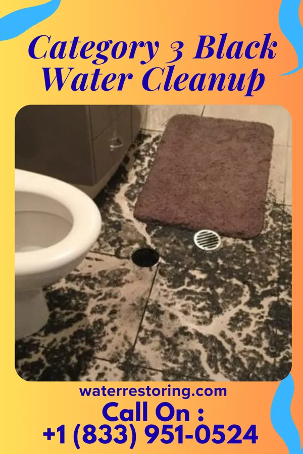 Category 3 Black Water Cleanup in Lakesite, TN