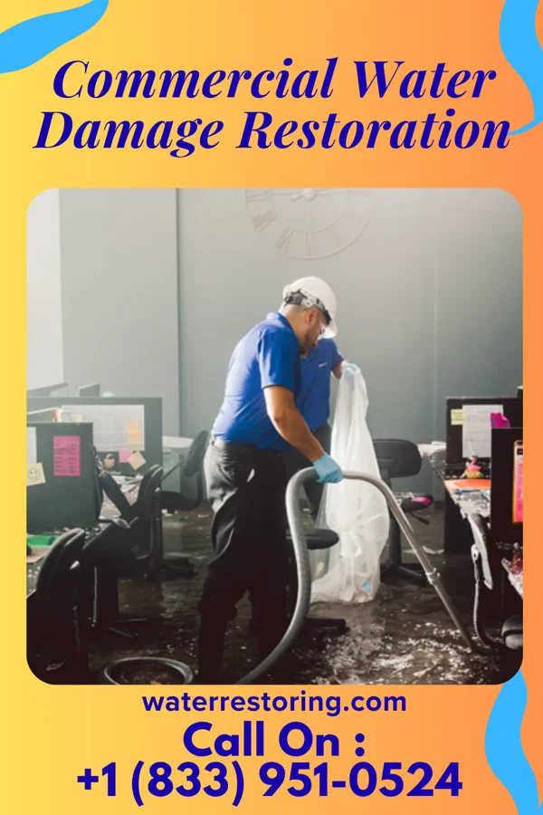 Commercial Water Damage Restoration in Lakesite, TN